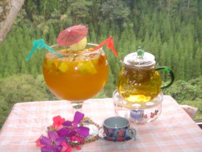 南庄知泉渡假山莊的花草水果茶
