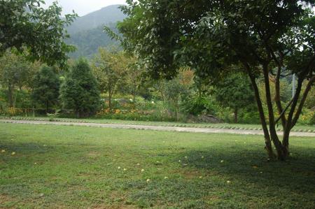 南庄知泉渡假山莊的露營場地綠草如茵